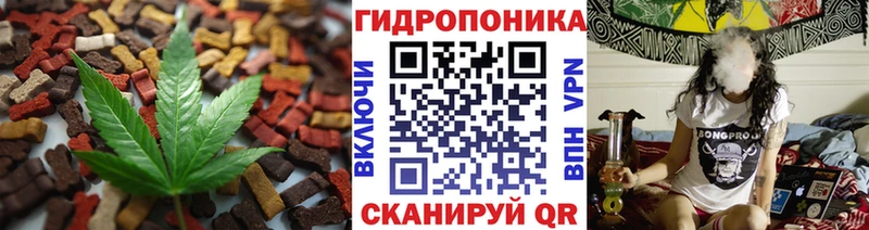 Cannafood конопля  Верея 