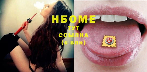 индика Армянск