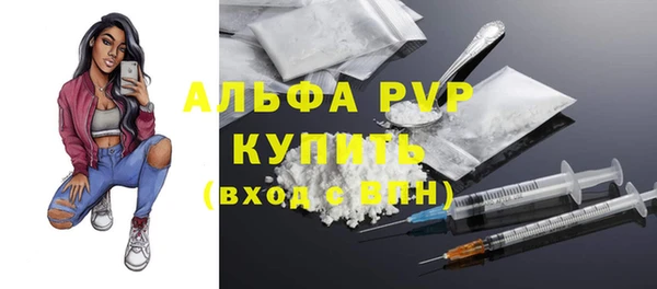 спиды Арсеньев