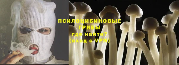 спиды Арсеньев