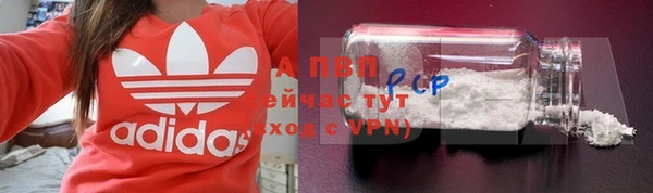 индика Армянск
