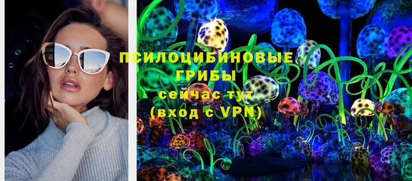 спиды Арсеньев