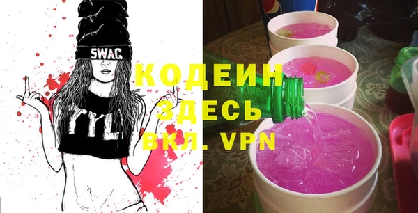индика Армянск