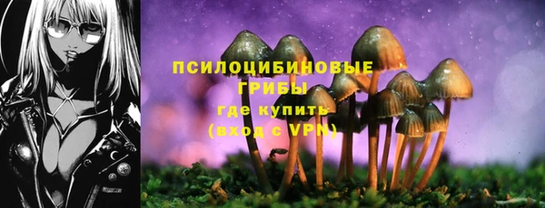 индика Армянск