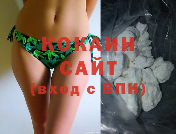 индика Армянск